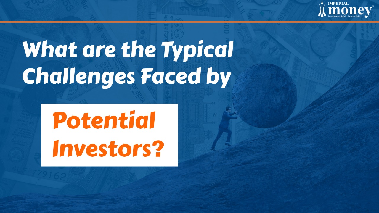 What are the Typical Challenges Faced by Potential Investors
